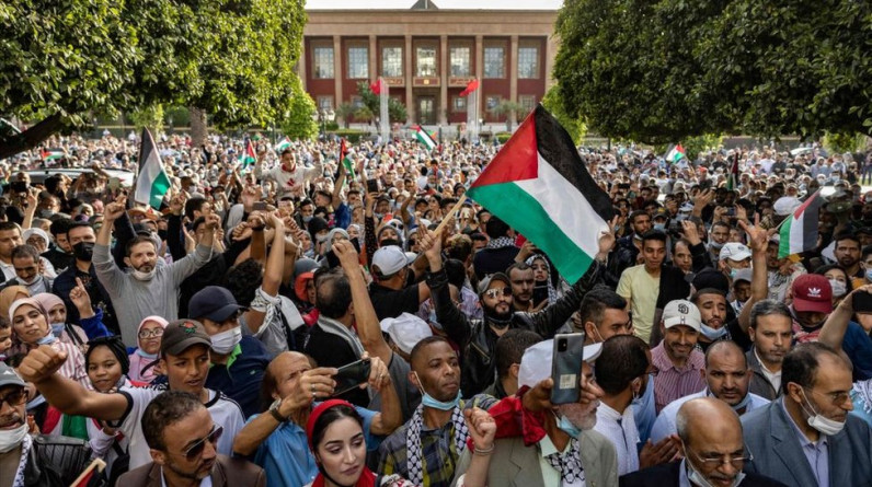 عبدالحميد بن سالم يكتب: هل أدت الشعوب العربية واجبها تجاه غزة؟